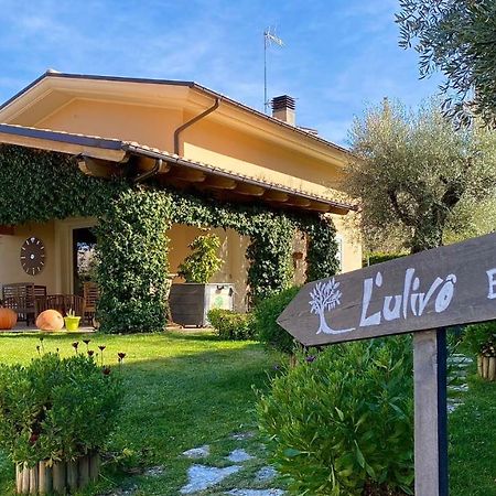 L' Ulivo Bed & Breakfast Teramo Exteriör bild
