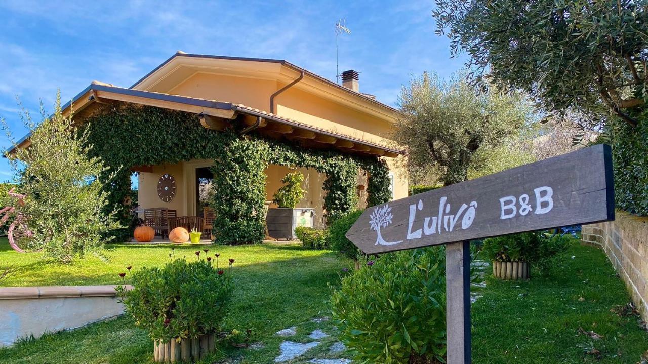 L' Ulivo Bed & Breakfast Teramo Exteriör bild