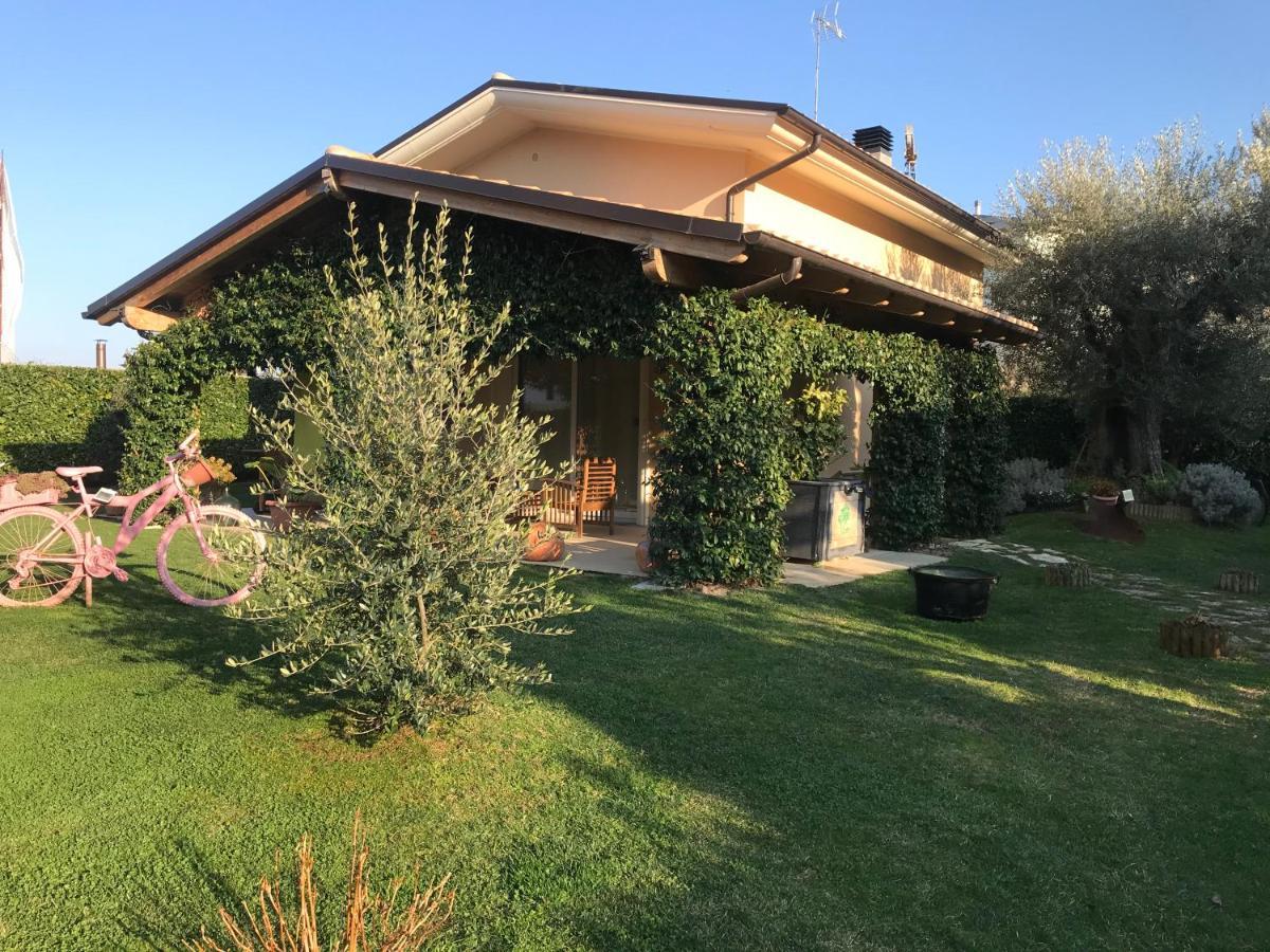L' Ulivo Bed & Breakfast Teramo Exteriör bild