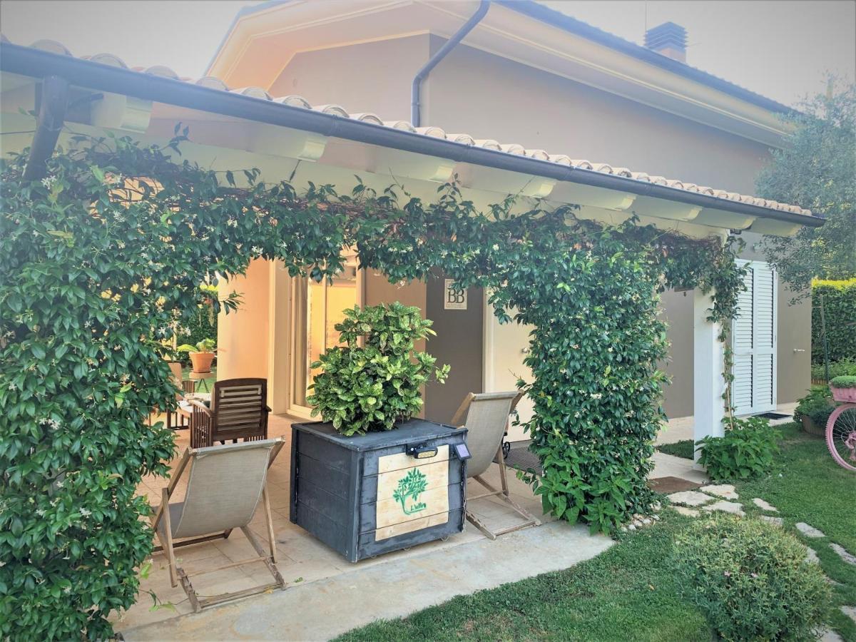 L' Ulivo Bed & Breakfast Teramo Exteriör bild