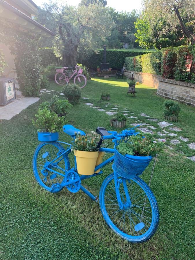 L' Ulivo Bed & Breakfast Teramo Exteriör bild